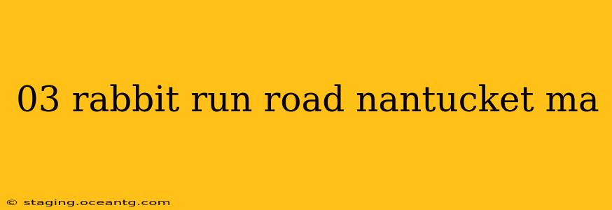 03 rabbit run road nantucket ma