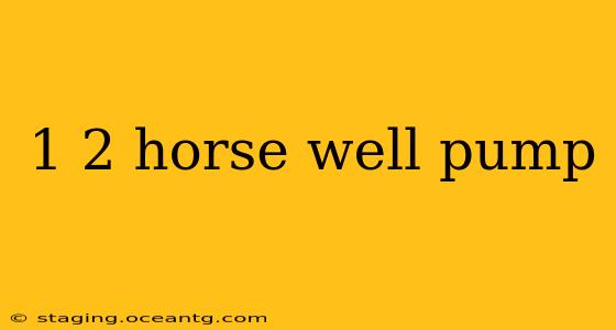 1 2 horse well pump