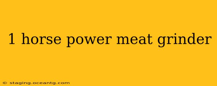 1 horse power meat grinder
