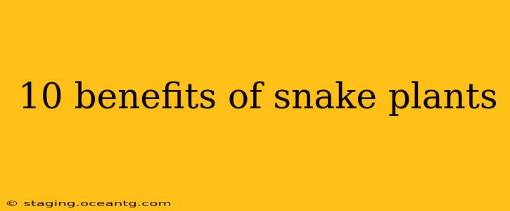 10 benefits of snake plants