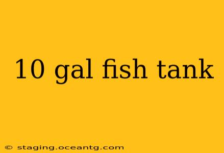 10 gal fish tank