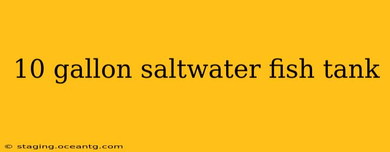 10 gallon saltwater fish tank