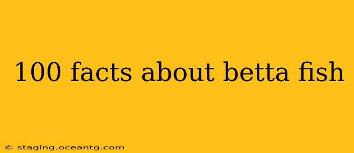 100 facts about betta fish