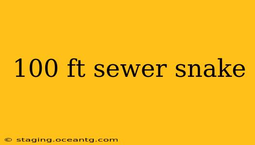 100 ft sewer snake