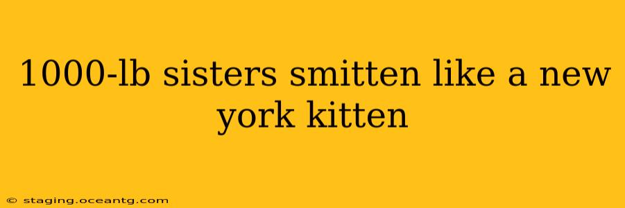 1000-lb sisters smitten like a new york kitten