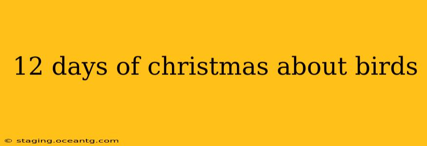 12 days of christmas about birds