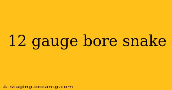 12 gauge bore snake