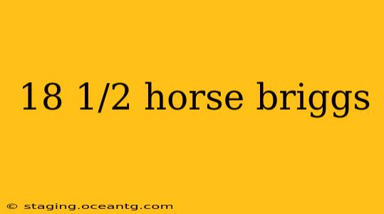 18 1/2 horse briggs