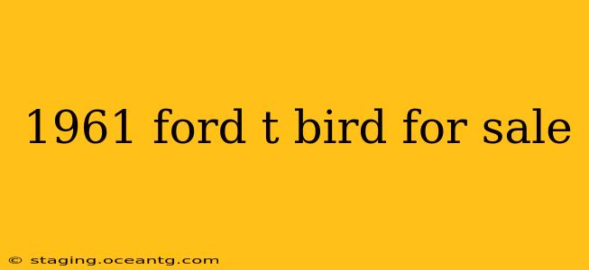 1961 ford t bird for sale