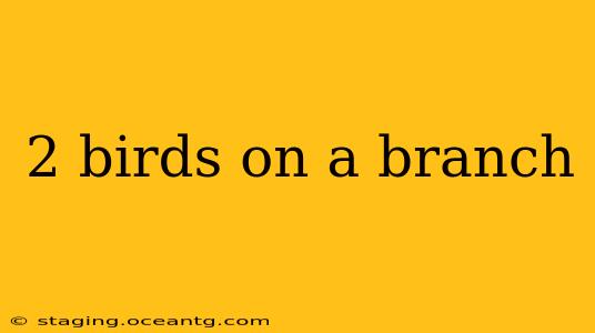 2 birds on a branch