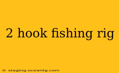 2 hook fishing rig