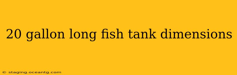 20 gallon long fish tank dimensions