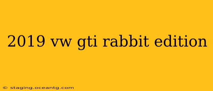 2019 vw gti rabbit edition