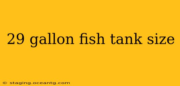 29 gallon fish tank size