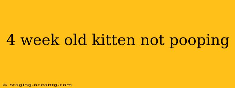 4 week old kitten not pooping