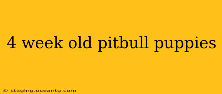 4 week old pitbull puppies