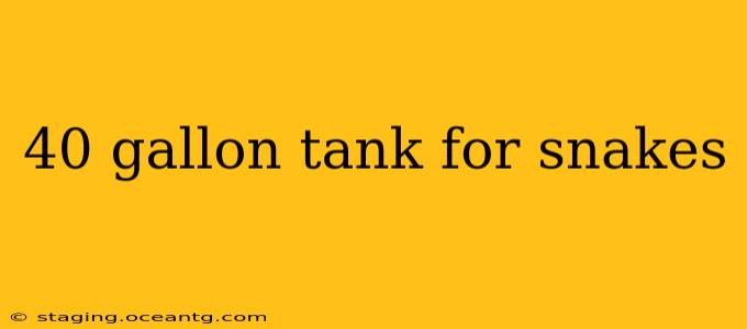 40 gallon tank for snakes