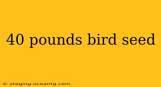 40 pounds bird seed