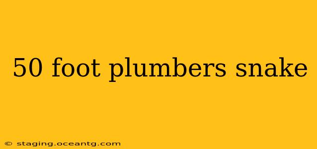 50 foot plumbers snake