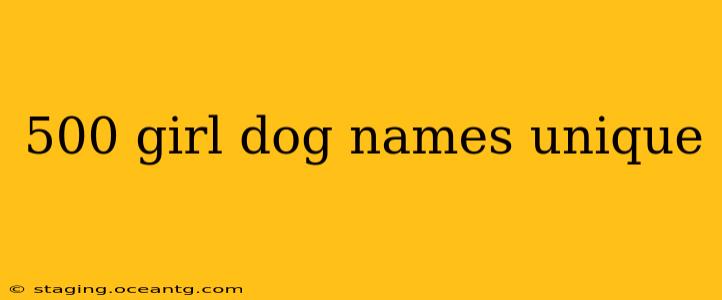 500 girl dog names unique