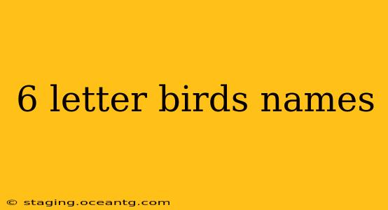 6 letter birds names