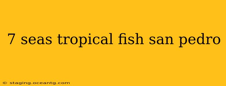 7 seas tropical fish san pedro