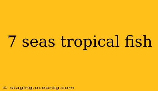 7 seas tropical fish