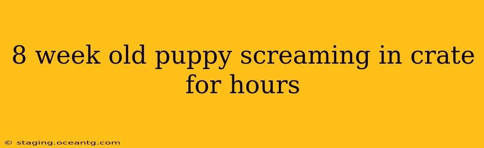 8 week old puppy screaming in crate for hours