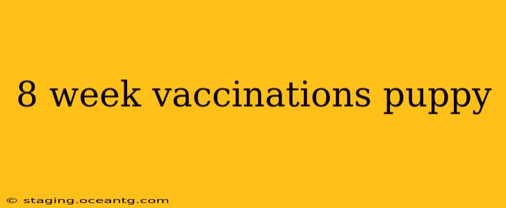 8 week vaccinations puppy