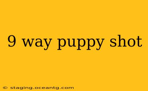 9 way puppy shot