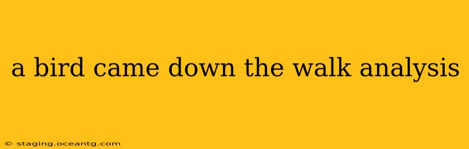 a bird came down the walk analysis