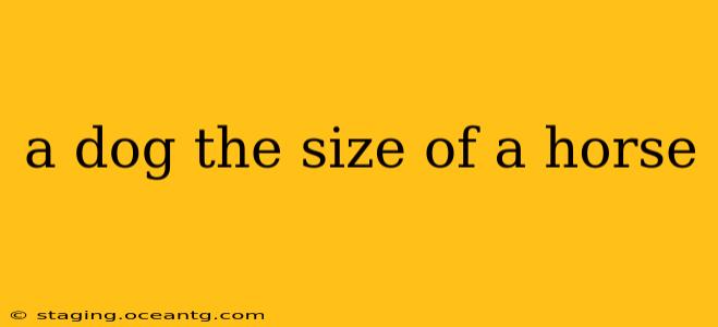 a dog the size of a horse