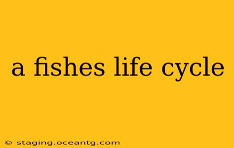 a fishes life cycle