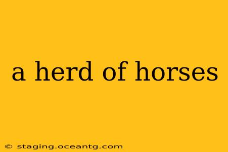 a herd of horses