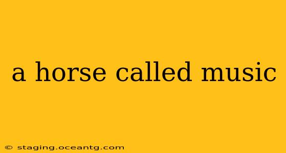 a horse called music