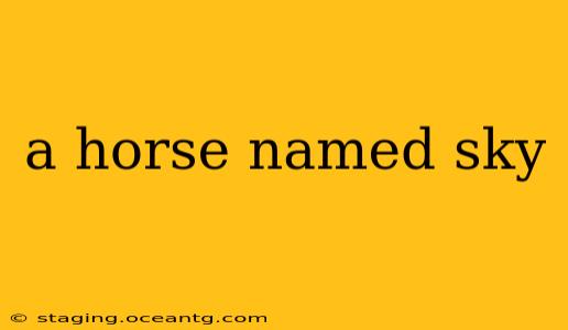 a horse named sky