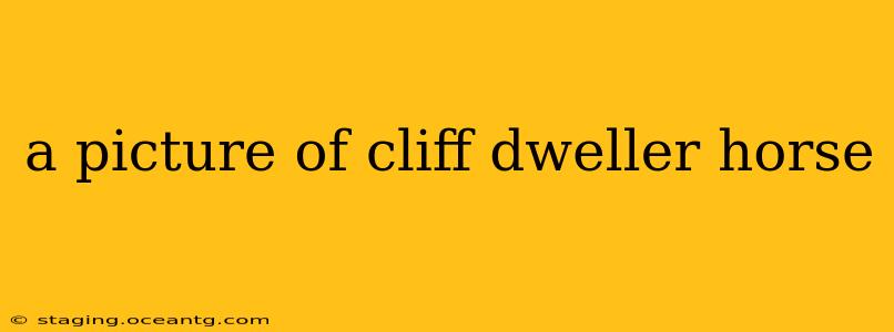 a picture of cliff dweller horse