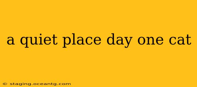 a quiet place day one cat