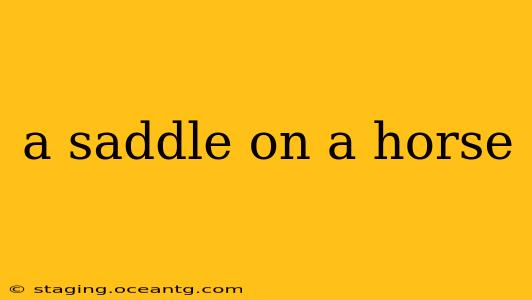 a saddle on a horse