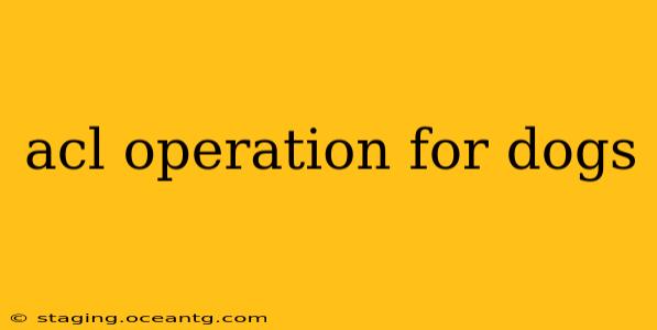 acl operation for dogs