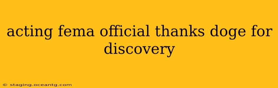 acting fema official thanks doge for discovery