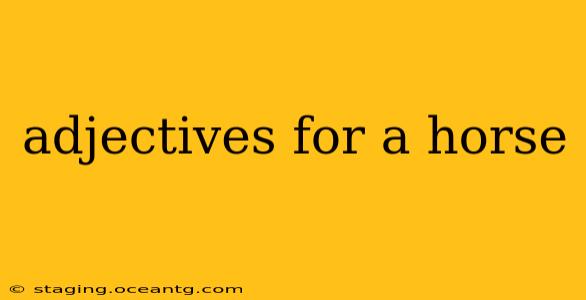 adjectives for a horse