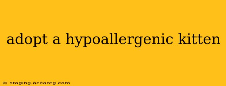 adopt a hypoallergenic kitten