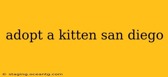 adopt a kitten san diego