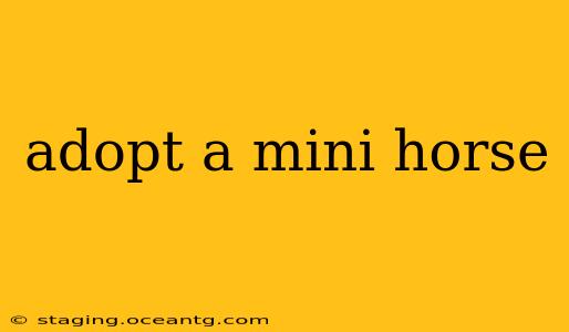 adopt a mini horse