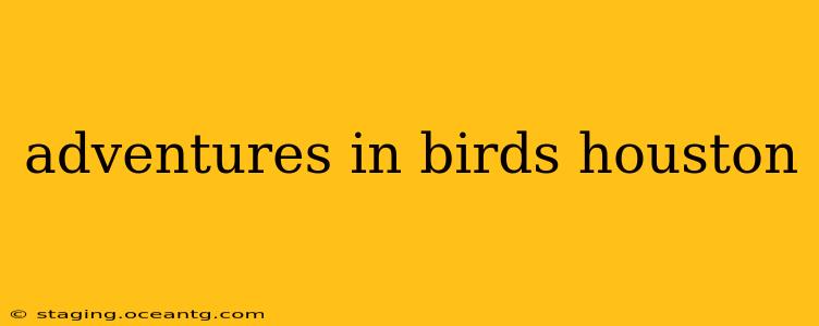 adventures in birds houston