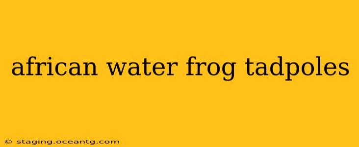 african water frog tadpoles