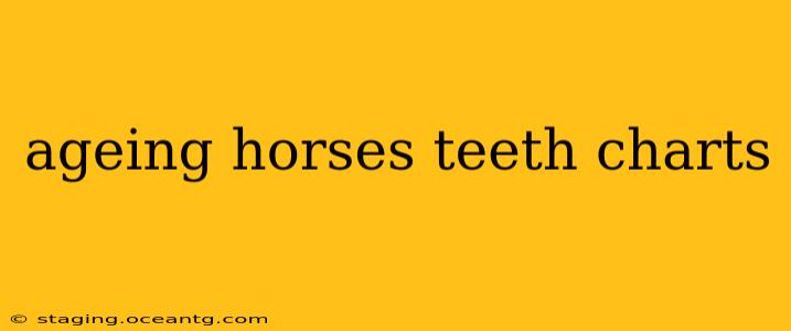 ageing horses teeth charts