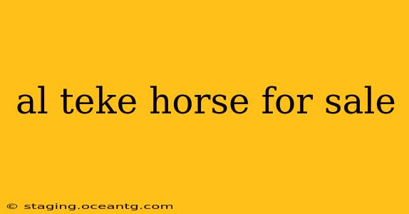 al teke horse for sale