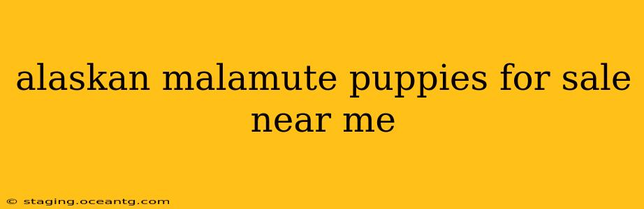 alaskan malamute puppies for sale near me